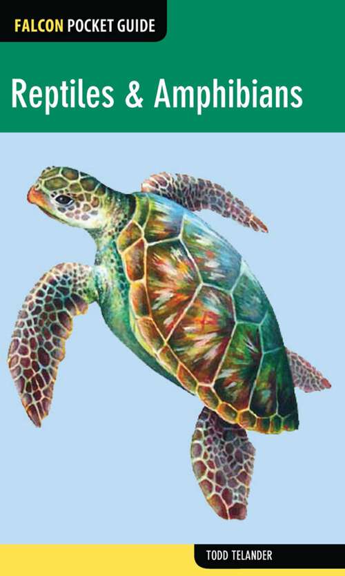 Book cover of Reptiles & Amphibians (1st Edition) (Falcon Pocket Guides)