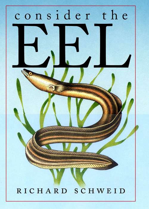 Book cover of Consider the Eel