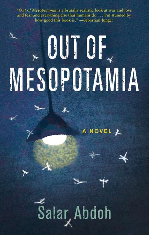 Book cover of Out of Mesopotamia
