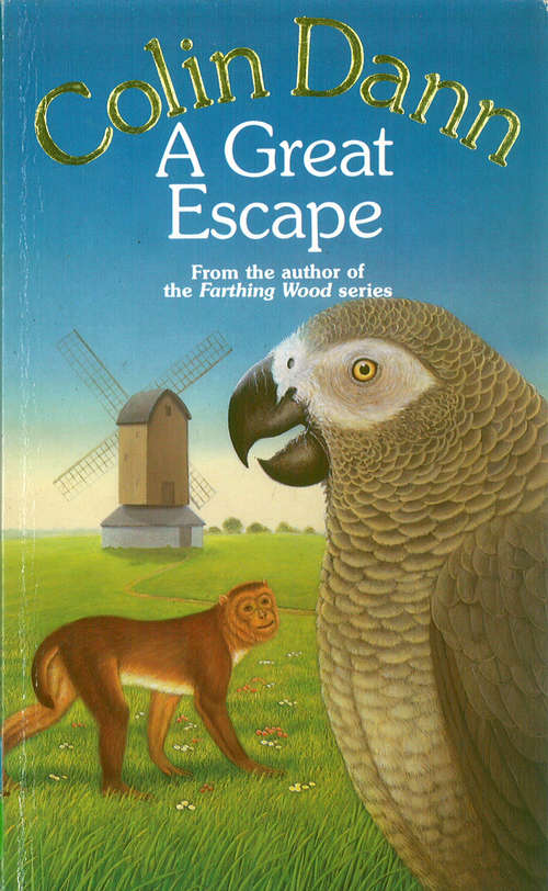 Book cover of A Great Escape