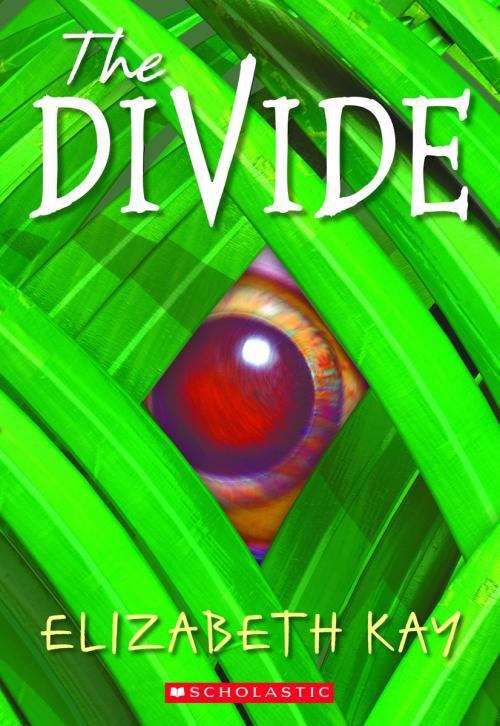 Book cover of The Divide (The Divide #1)