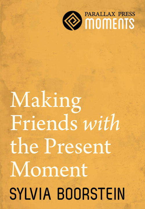 Book cover of Making Friends with the Present Moment