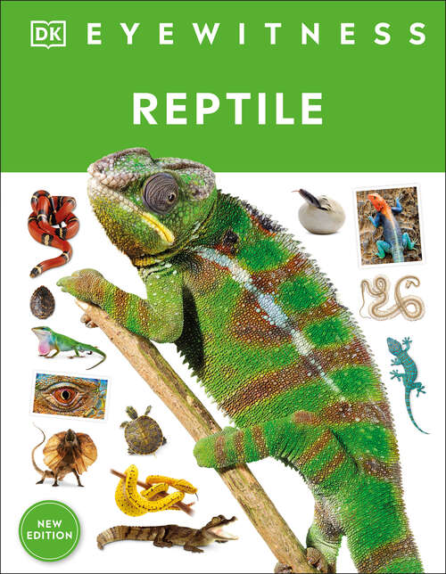 Book cover of Eyewitness Reptile (DK Eyewitness)