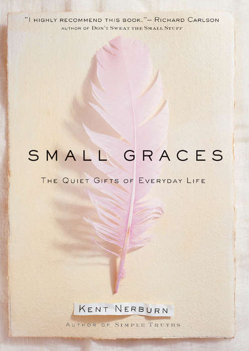 Book cover of Small Graces