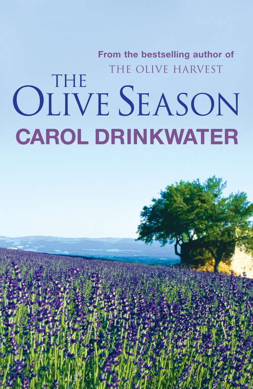 Book cover of The Olive Season: By The Author of the Bestselling The Olive Farm