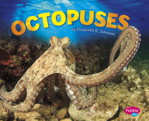 Book cover of Octopuses (Sea Life Ser.)