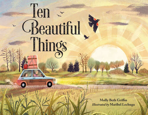 Book cover of Ten Beautiful Things