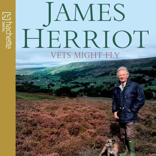 Book cover of Vets Might Fly