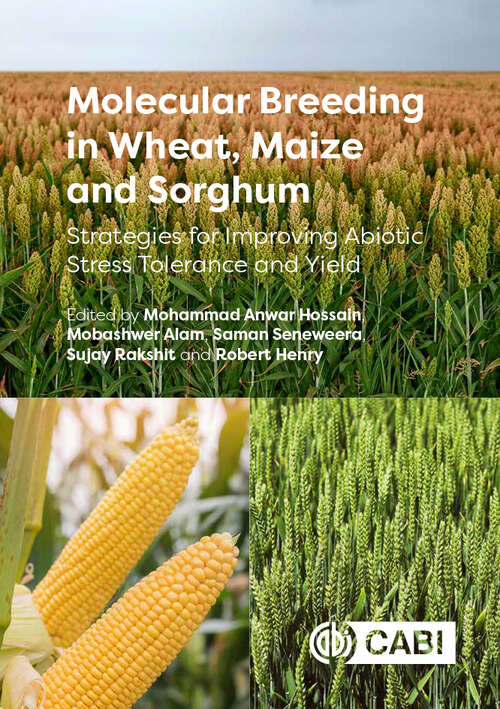 Molecular Breeding in Wheat, Maize and Sorghum: Strategies for Improving Abiotic Stress Tolerance and Yield