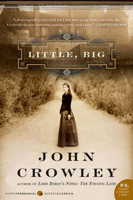 Book cover of Little, Big