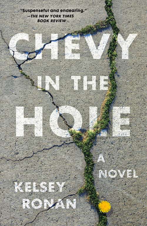 Book cover of Chevy in the Hole: A Novel
