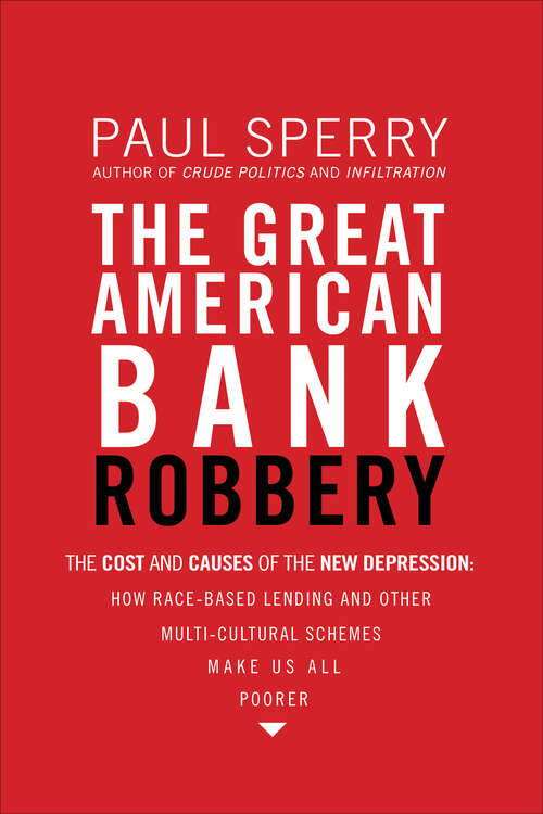 Book cover of The Great American Bank Robbery: The Cost and Causes of the New Depression