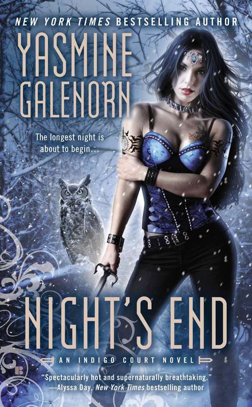 Book cover of Night's End
