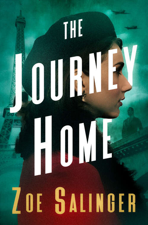 Book cover of The Journey Home