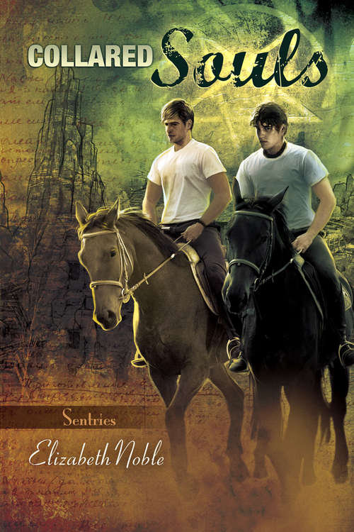 Book cover of Collared Souls