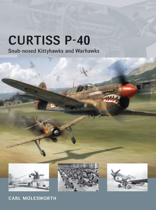 Book cover of Curtiss P-40 -Snub-nosed Kittyhawks and Warhawks