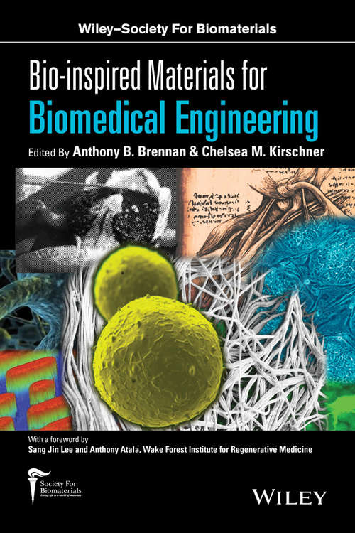 Book cover of Bio-inspired Materials for Biomedical Engineering