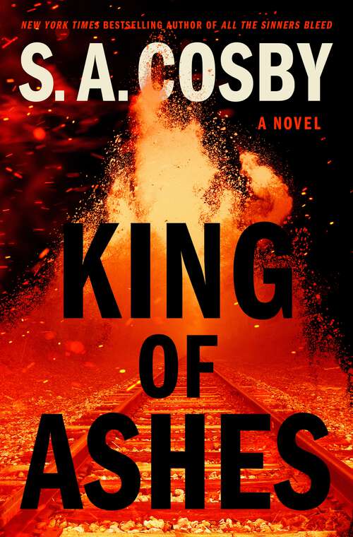 Book cover of King of Ashes: A Novel
