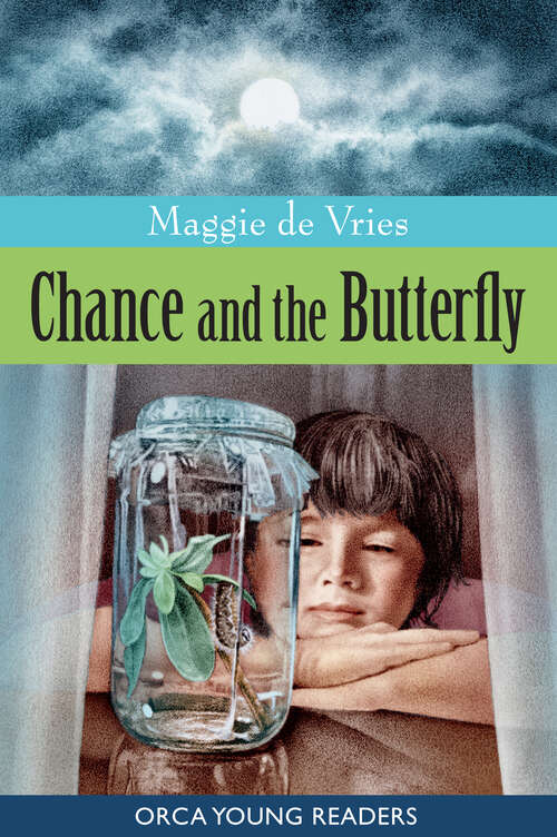 Book cover of Chance and the Butterfly