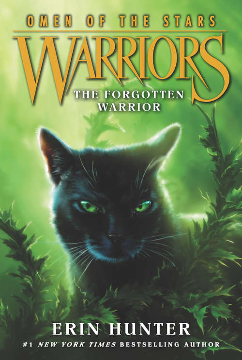 Book cover of Warriors: Omen of the Stars #5: The Forgotten Warrior