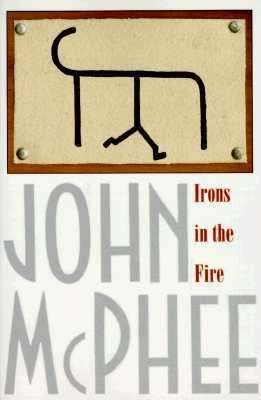 Book cover of Irons in the Fire