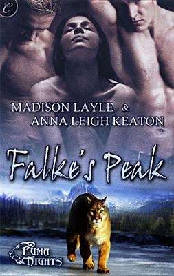 Book cover of Falke's Peak