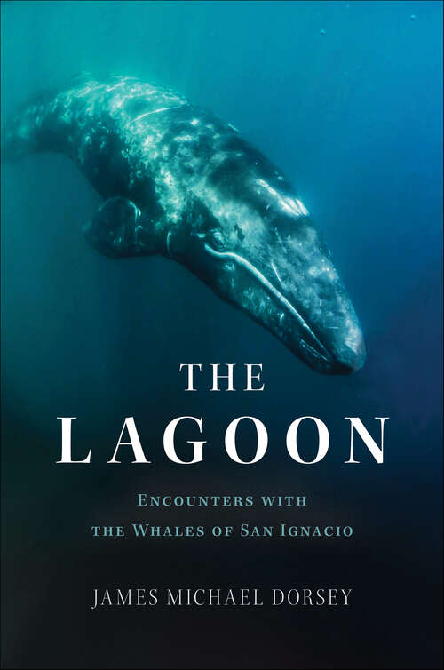 Book cover of The Lagoon: Encounters with the Whales of San Ignacio