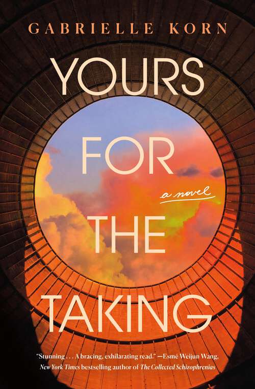 Book cover of Yours for the Taking: A Novel