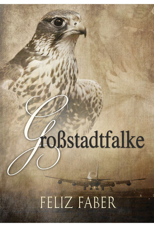 Großstadtfalke (Desert Falcon And City Falcon Ser. #2)