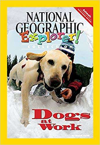 Book cover of Dogs at Work, Pathfinder Edition (National Geographic Explorer Collection)
