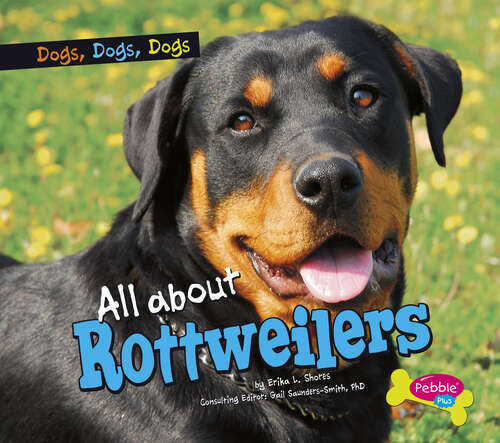 Book cover of All about Rottweilers (Dogs, Dogs, Dogs Ser.)
