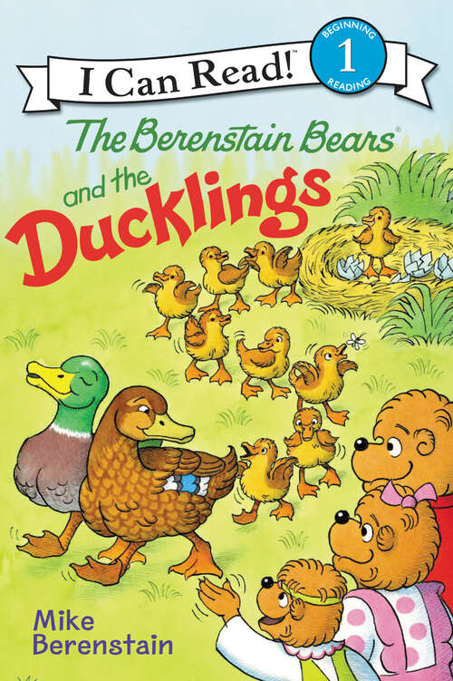 Book cover of Berenstain Bears and the Ducklings (I Can Read Level 1)