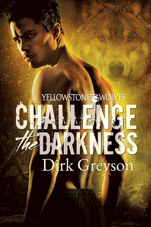 Book cover of Challenge the Darkness