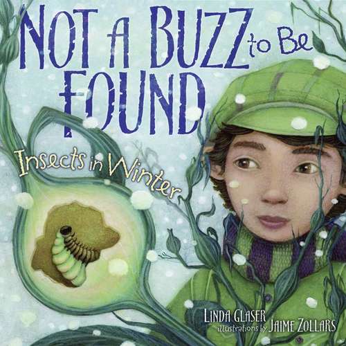 Book cover of Not a Buzz to Be Found: Insects in Winter