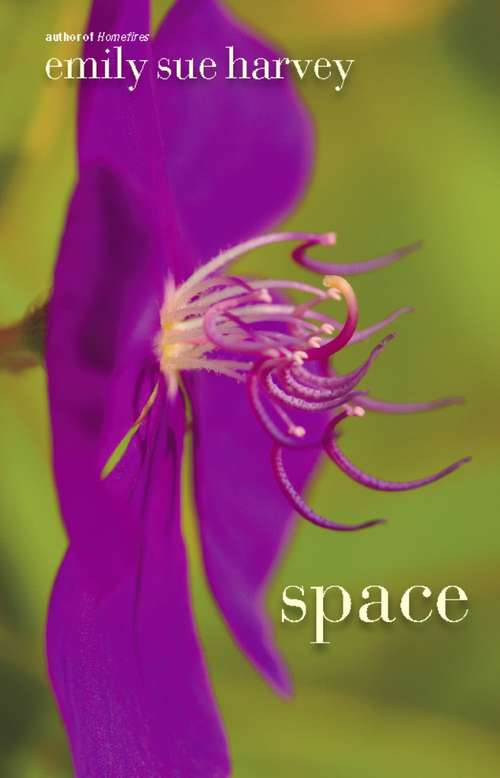 Book cover of Space