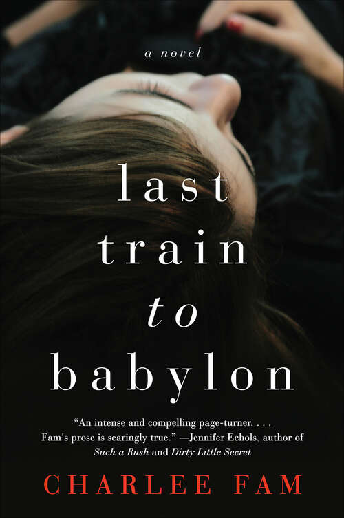 Book cover of Last Train to Babylon