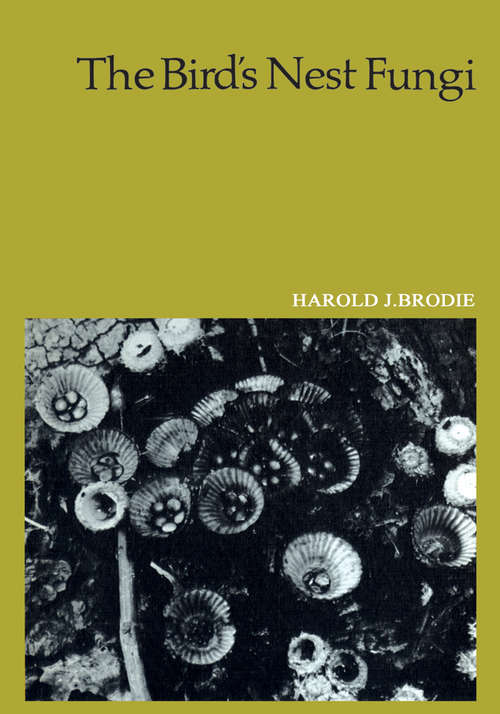 Book cover of The Bird's Nest Fungi