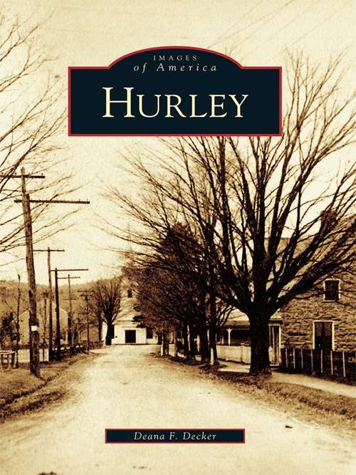 Book cover of Hurley