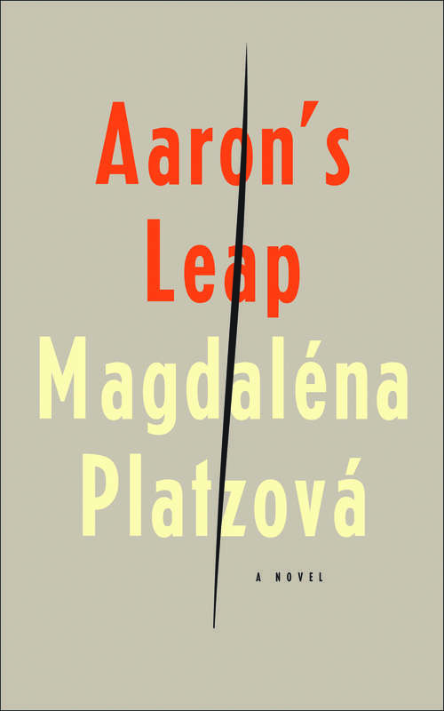 Book cover of Aaron's Leap