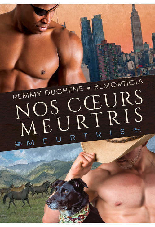 Book cover of Nos cœurs meurtris