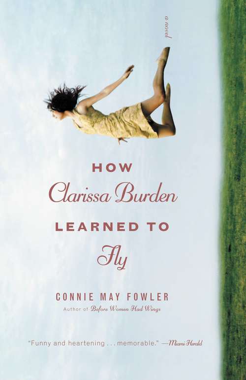 Book cover of How Clarissa Burden Learned to Fly