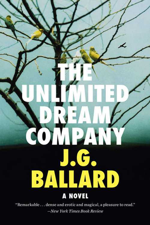 Book cover of The Unlimited Dream Company: A Novel