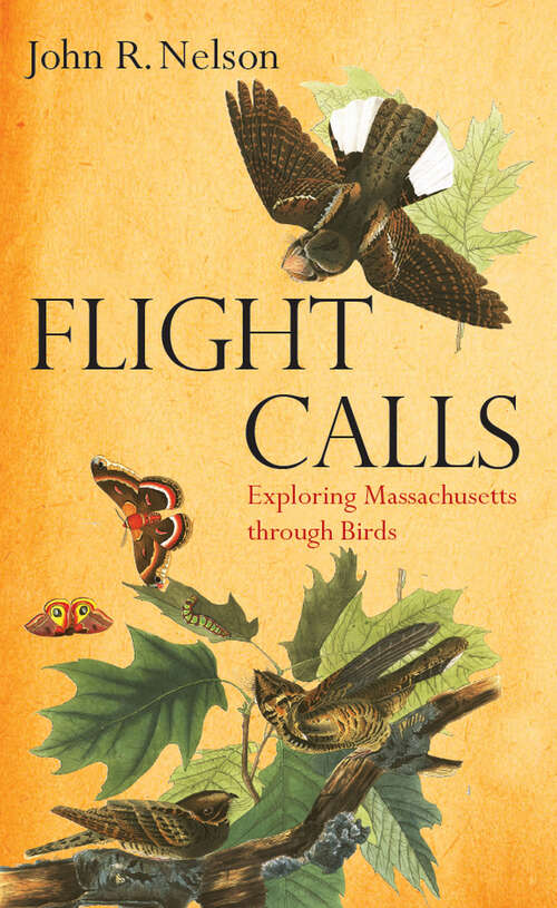 Book cover of Flight Calls: Exploring Massachusetts through Birds