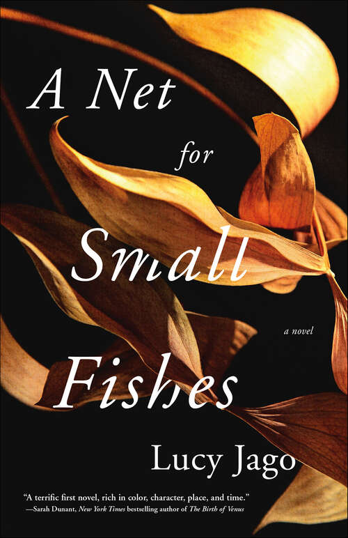 Book cover of A Net for Small Fishes: A Novel