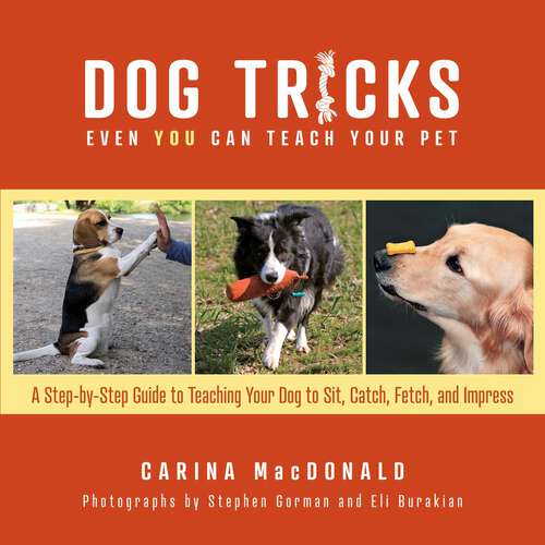 Book cover of Dog Tricks Even You Can Teach Your Pet: A Step-by-Step Guide to Teaching Your Pet to Sit, Catch, Fetch, and Impress