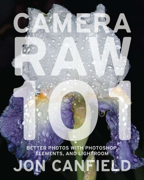 Book cover of Camera RAW 101