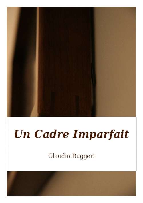 Book cover of Un Cadre Imparfait