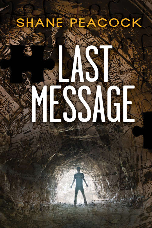 Book cover of Last Message