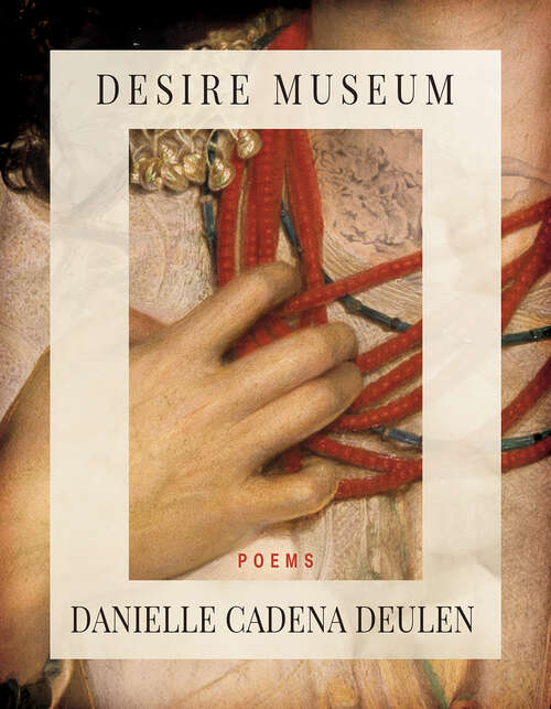 Book cover of Desire Museum