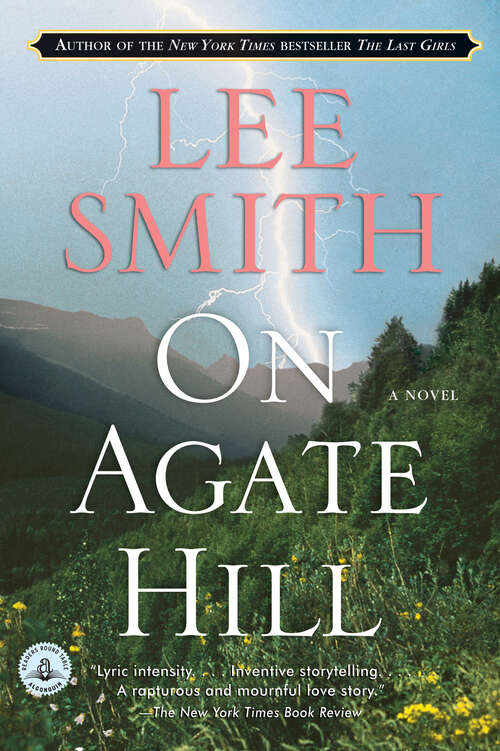 Book cover of On Agate Hill: A Novel